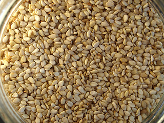 Image showing Sesame seeds