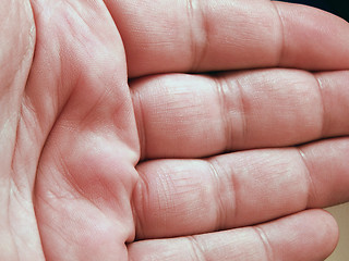 Image showing Hand