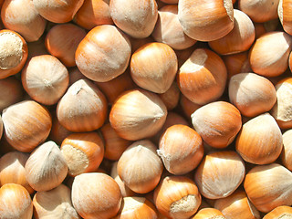 Image showing Hazelnuts picture