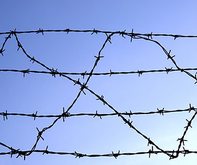 Image showing Barbed wire