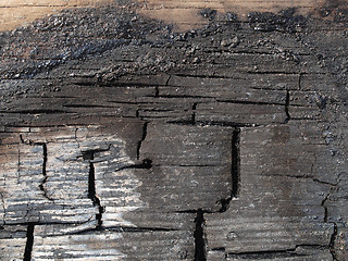 Image showing Burned wood