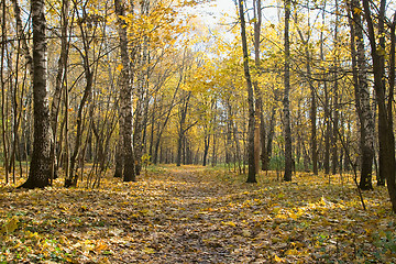 Image showing Autumn park