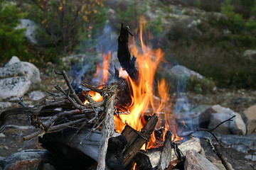 Image showing camp fire burning