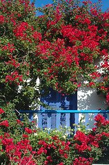 Image showing balcony and flowers