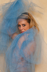 Image showing Blue tulle