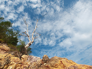 Image showing Dramatic beach landscape