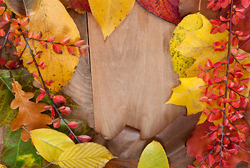 Image showing Autumn Background