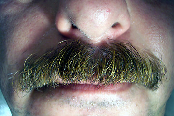 Image showing my mustache