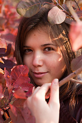 Image showing Autumn girl