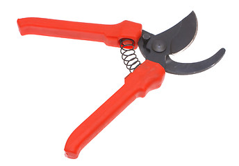 Image showing Garden shears.