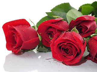 Image showing red roses