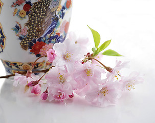 Image showing cherry flowers and vase