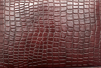 Image showing leather