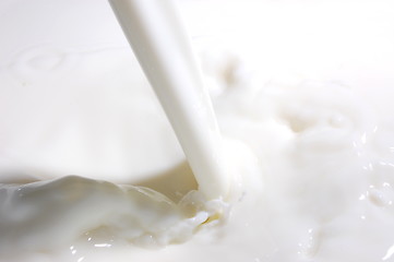 Image showing milk splash