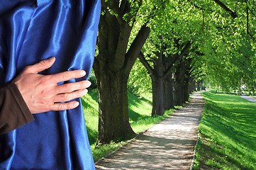 Image showing landscape behind blue curtain