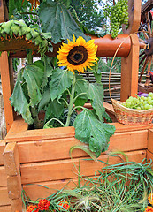 Image showing GRAPE In BASKET NEAR SUNFLOWER