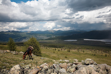 Image showing Horse in Sayan mountains