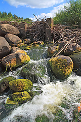 Image showing mountain river flow between stone