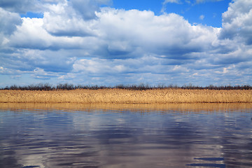 Image showing yellow band of the reed on lake