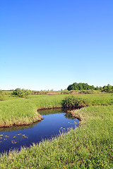 Image showing small river on green field
