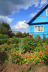 Image showing summer flowerses near rural building