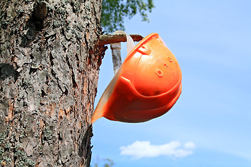 Image showing helmet of the woodsman on tree