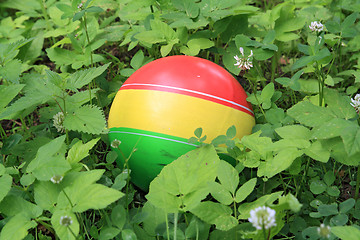 Image showing baby ball in green herb