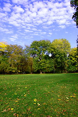 Image showing fall in the park with green trees under blue sky