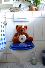 Image showing toy teddy bear on wc toilet