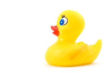 Image showing toy rubber duck 