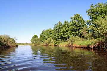 Image showing oak wood on coast river 