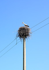 Image showing crane on pole in jack