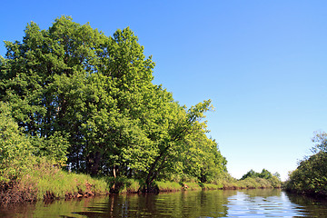 Image showing oak wood on coast river