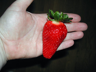 Image showing Strawberry