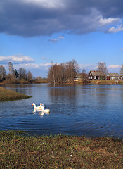 Image showing three geese on river near villages