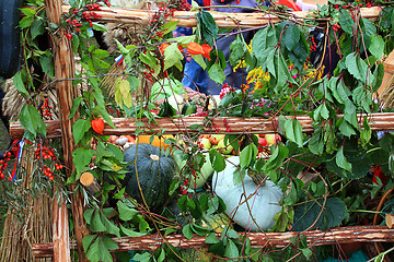 Image showing green pumpkins on rural market