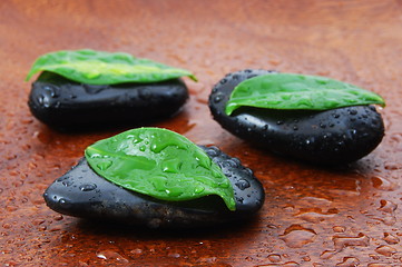 Image showing zen concept with stones and leaves