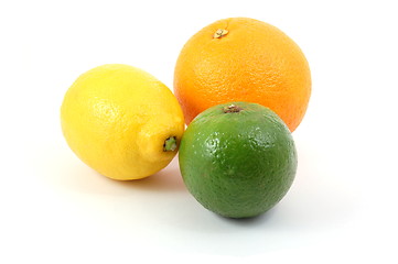 Image showing lemon orange and citron fruit