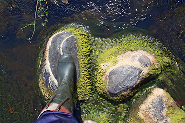 Image showing leg on stone in river flow