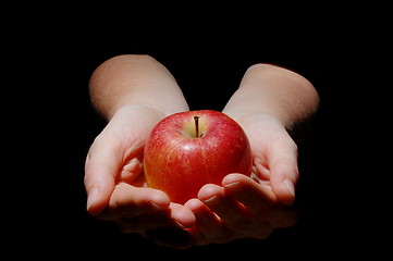 Image showing hand with apple