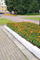 Image showing lawn in town park