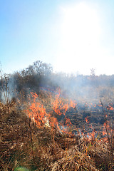 Image showing fire on autumn field 