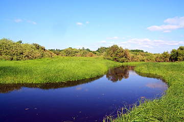 Image showing small river on summer field