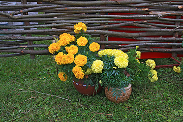 Image showing summer flowerses near old fence