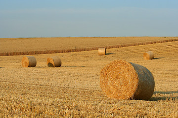 Image showing hay bales