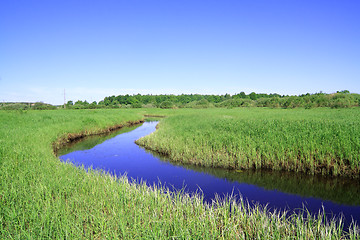 Image showing blue river on green field