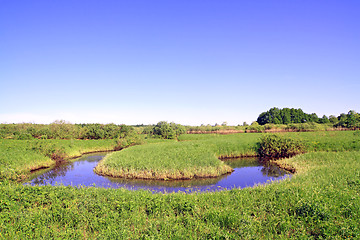 Image showing small river on green field