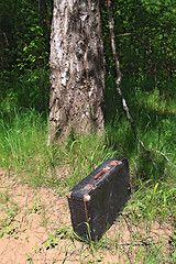 Image showing old valise near old birch