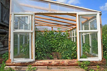 Image showing wooden hothouse in summer garden
