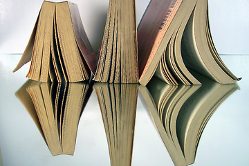 Image showing three books and their reflection